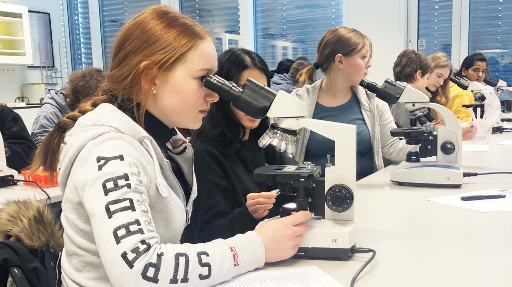 Kaja Flote from Hellerasten school is looking in the microscope to find T cells. She thinks it is exciting to learn more about the depth of the immune system and how it can be changed to fight cancer. Photo: Bente Prestegård.
