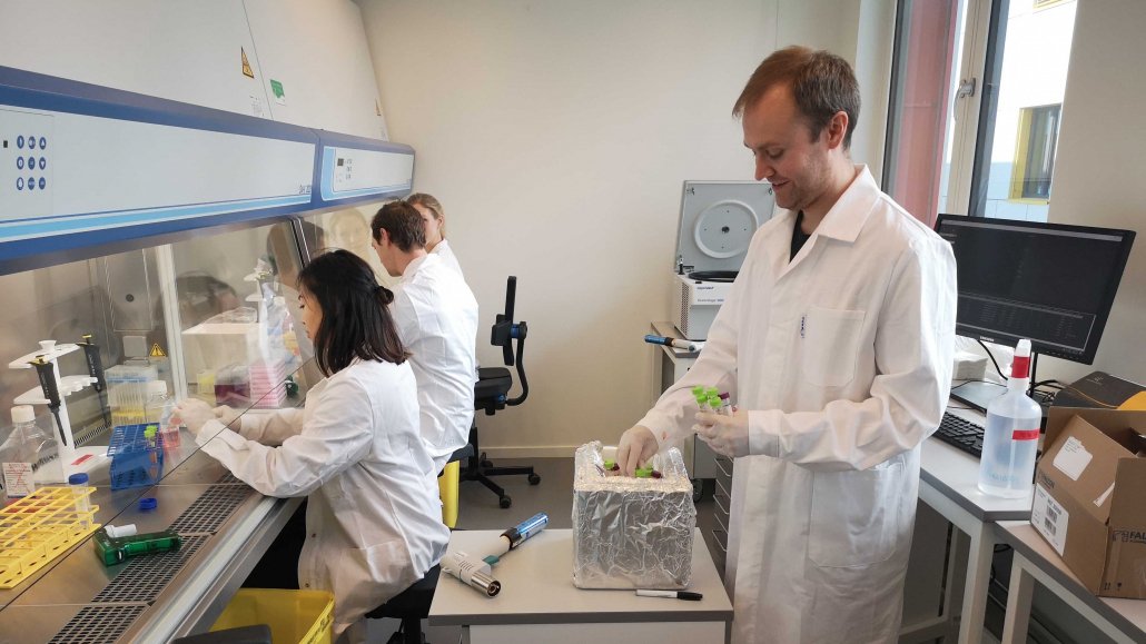 Audun Bersaas, and his team from Vaccibody, working in the Oslo Cancer Cluster Incubator laboratories.